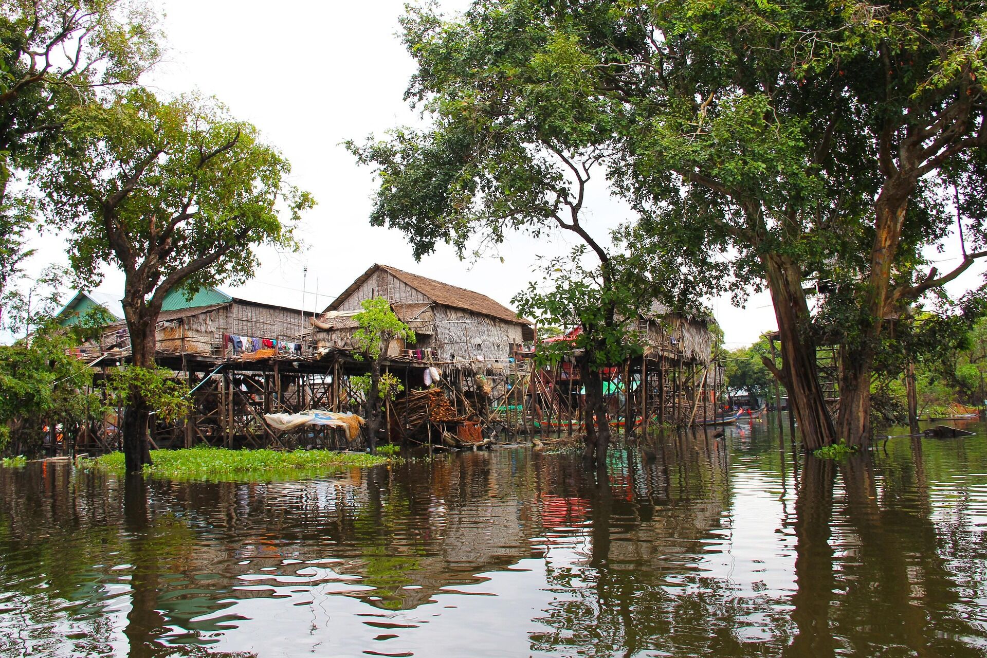 Start your historical journey with Tonle Sap’s vibrant glow